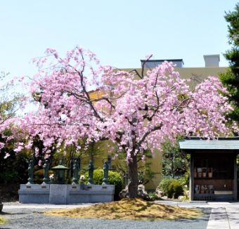 勝林山 源立寺外観