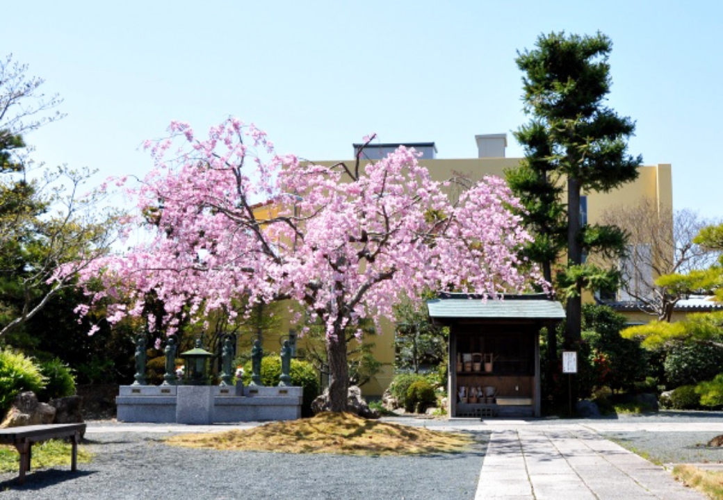 境内のイメージ