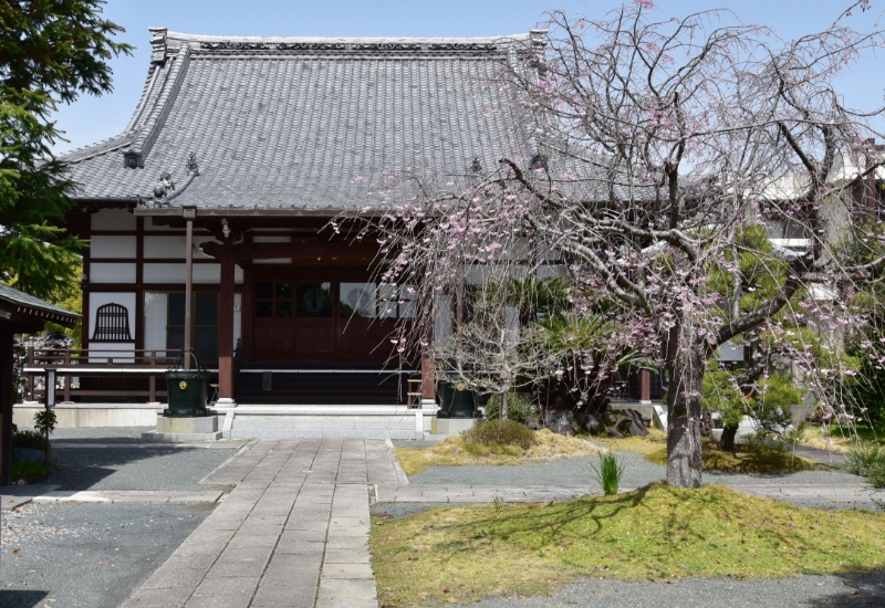 境内、駐車場の写真